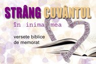 Versete